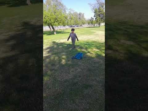 Video del partido
